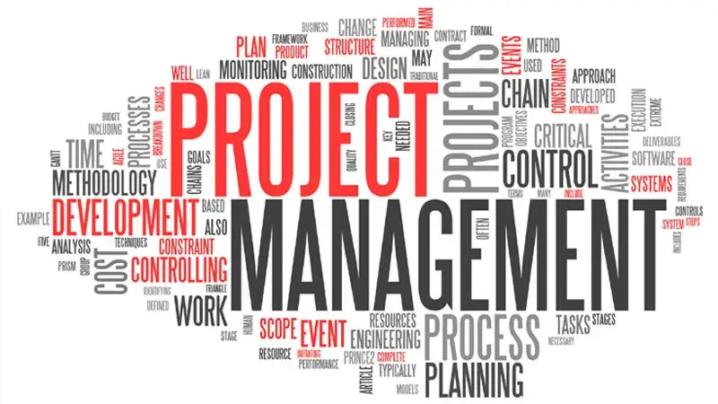 125 Project Management Buzz jpg