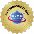 DVMS_S